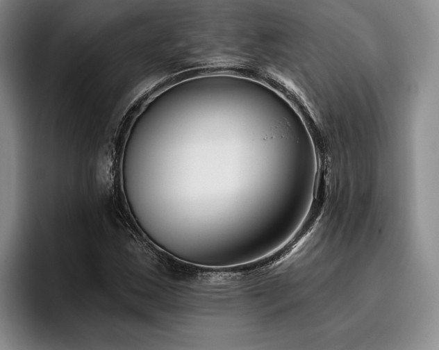 X0000096131163200801181107