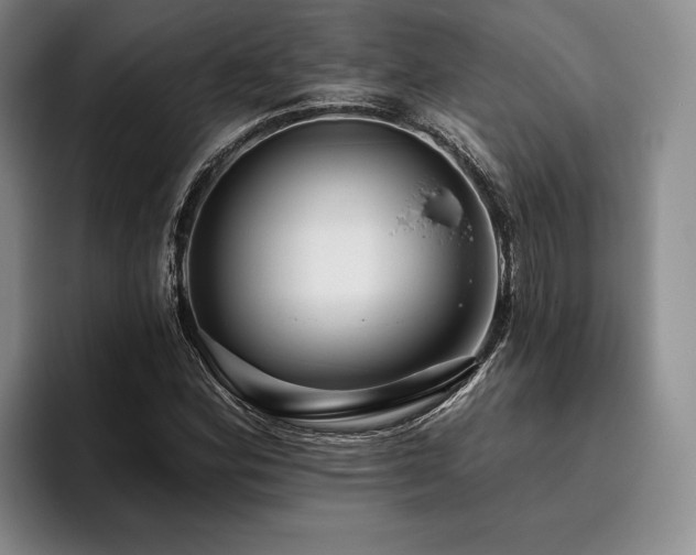 X0000096131164200801181107