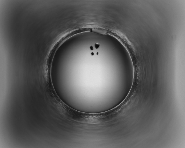 X0000096131167200801181107