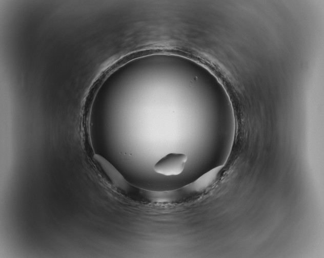 X0000096131168200801181107
