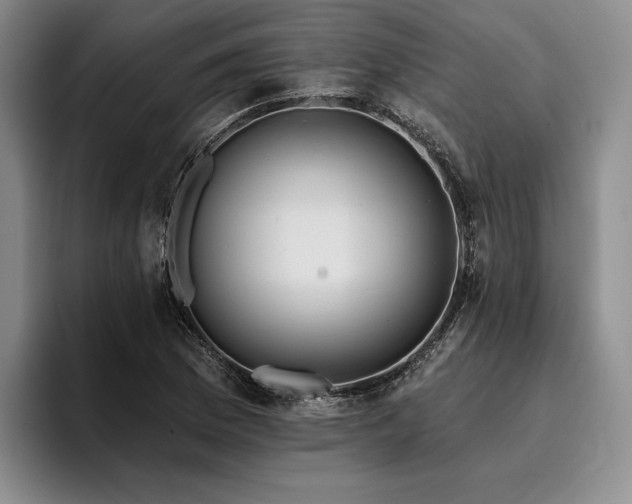 X0000096131169200801181107