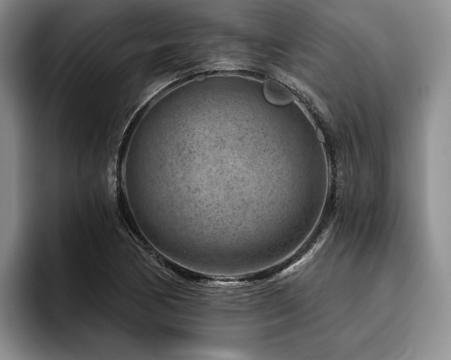 X0000096131170200801181107