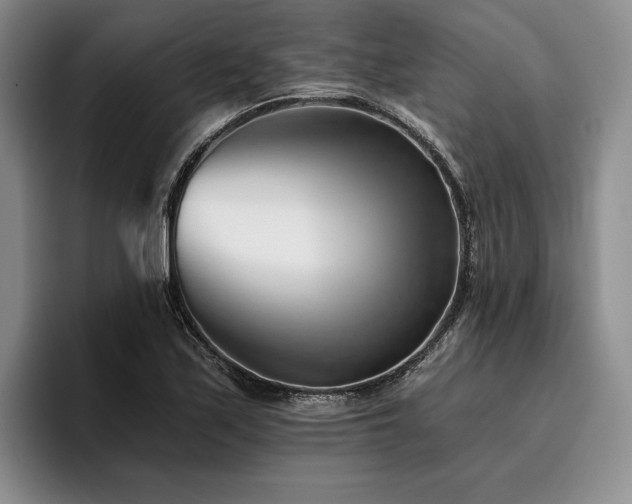 X0000096131171200801181107