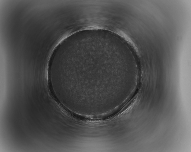 X0000096131173200801181107