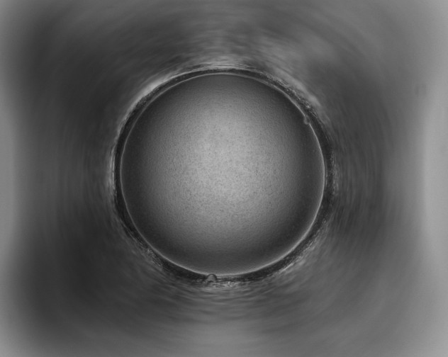 X0000096131174200801181107