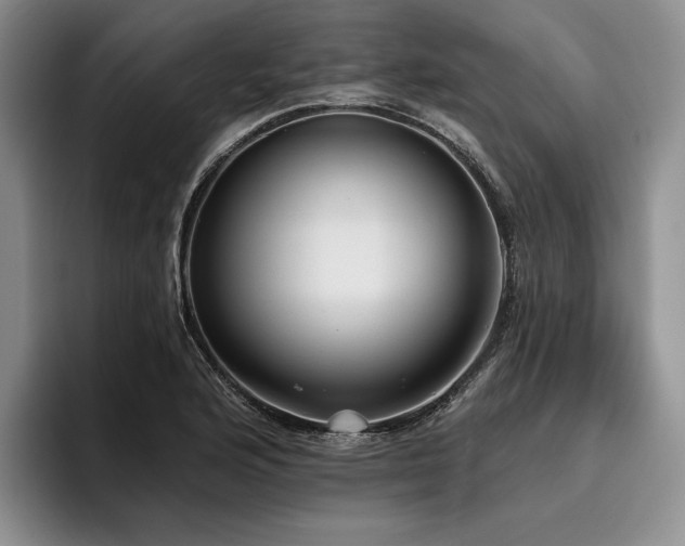 X0000096131176200801181107