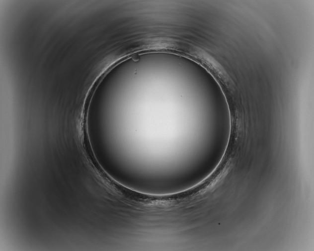 X0000096131178200801181107