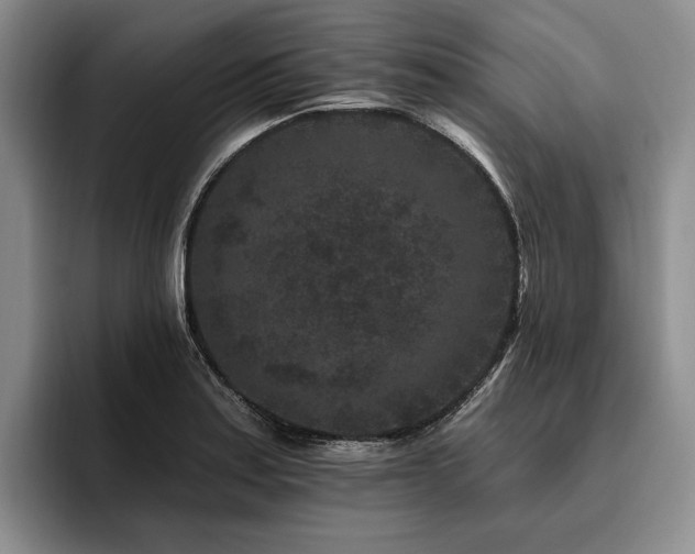 X0000096131179200801181107