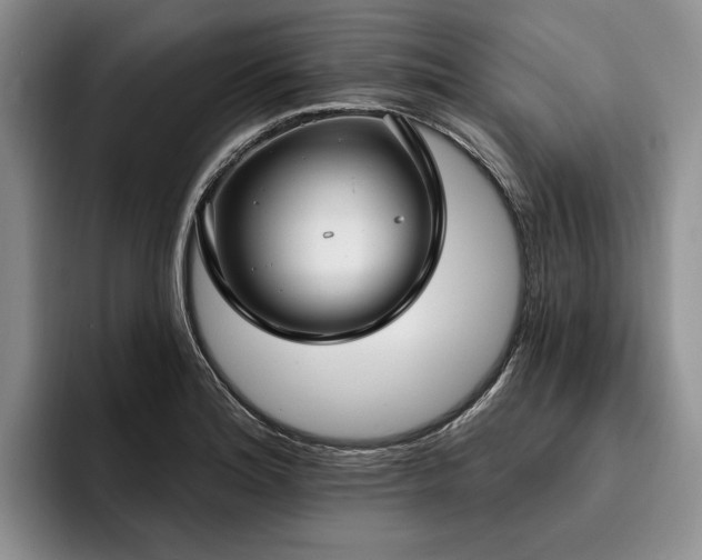 X0000096131180200801181107