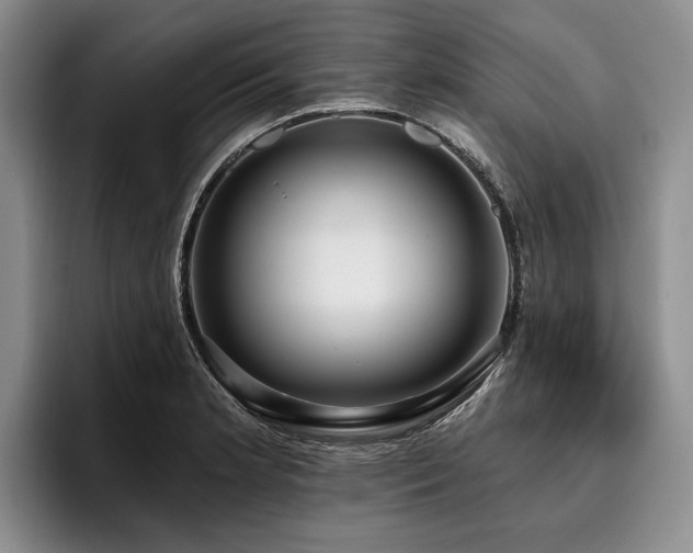 X0000096131181200801181106