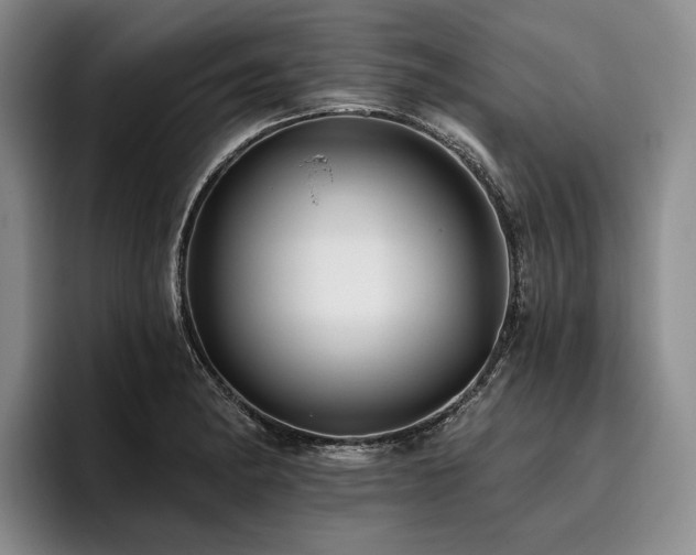 X0000096131182200801181106