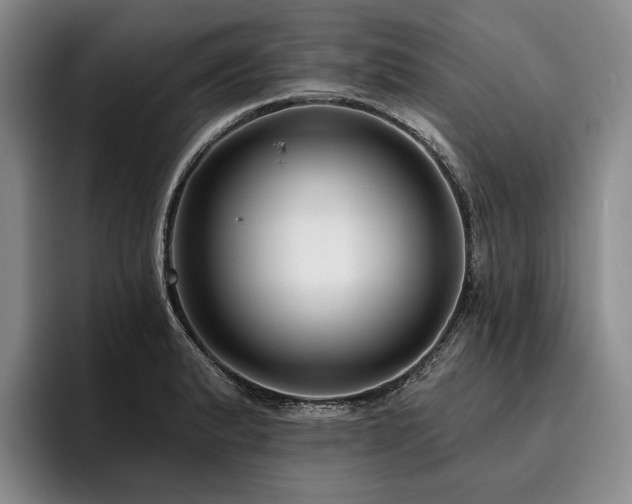 X0000096131183200801181106