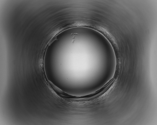 X0000096131185200801181106