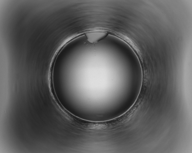 X0000096131187200801181106