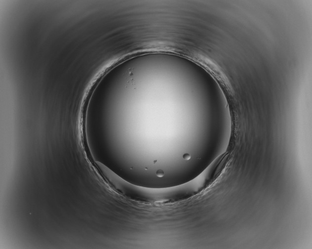 X0000096131188200801181106