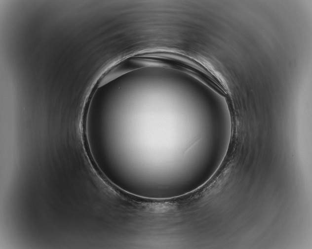 X0000096131189200801181106