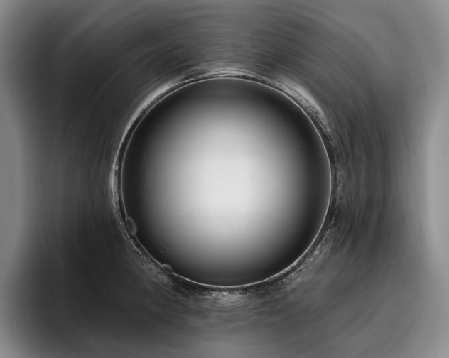 X0000096131190200801181106