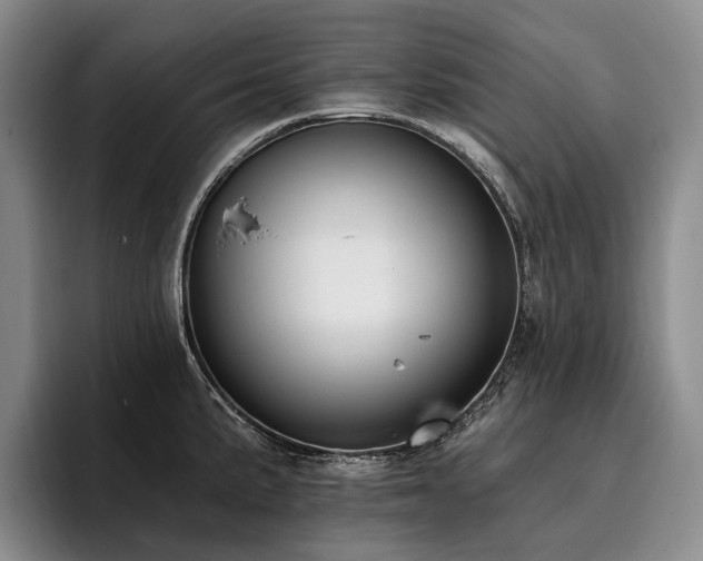 X0000096131191200801181106