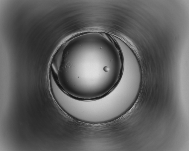 X0000096131192200801181106