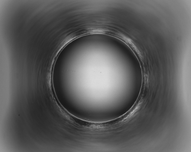 X0000096131194200801181106