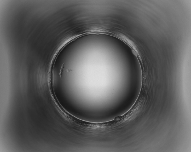 X0000096131195200801181106