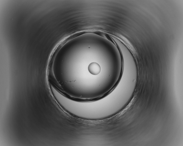 X0000096131196200801181106