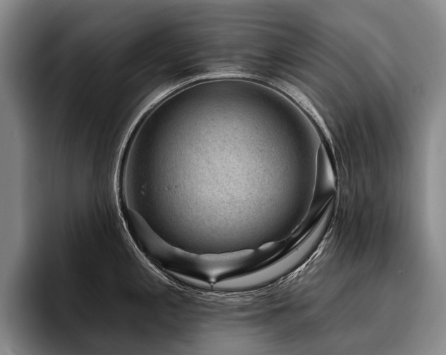 X0000096131197200801181106