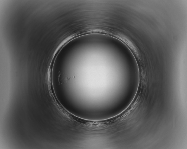 X0000096131198200801181106