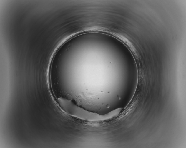 X0000096131199200801181106