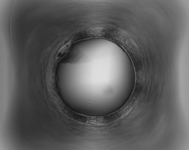 X0000096131201200801181106