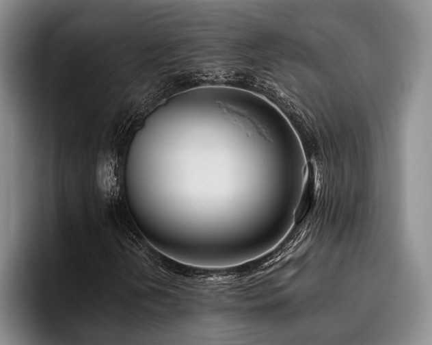 X0000096131202200801181106