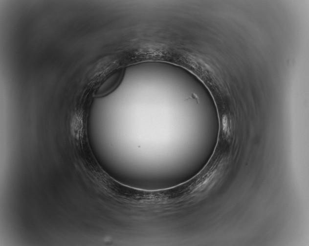 X0000096131203200801181106