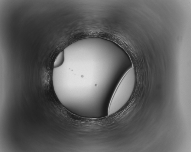 X0000096131204200801181106