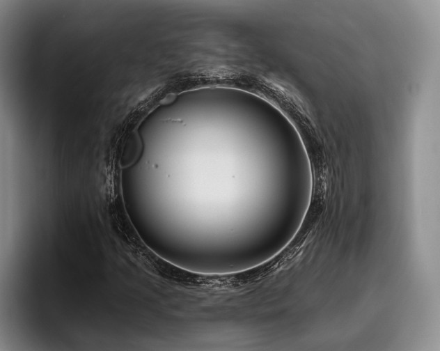 X0000096131205200801181106