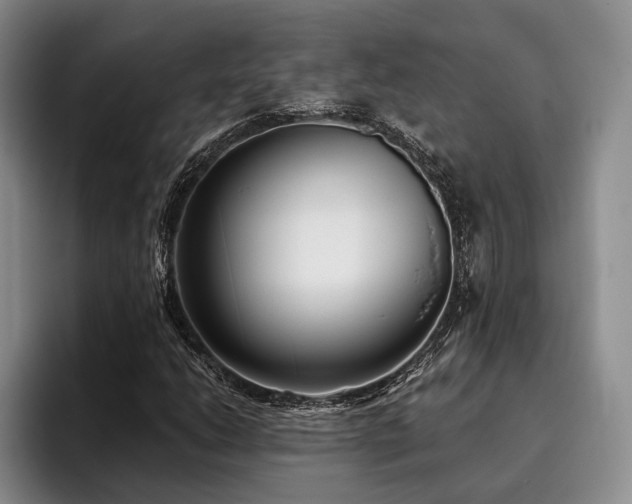 X0000096131206200801181106