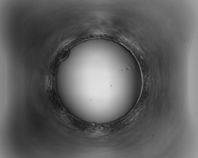 X0000096131207200801181106