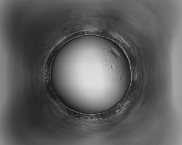 X0000096131208200801181106