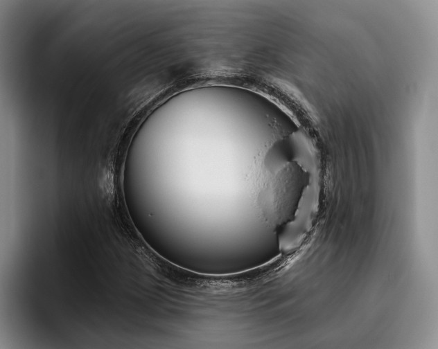 X0000096131209200801181106