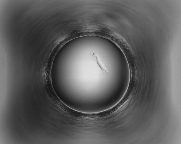 X0000096131210200801181106