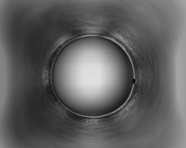 X0000096131211200801181106