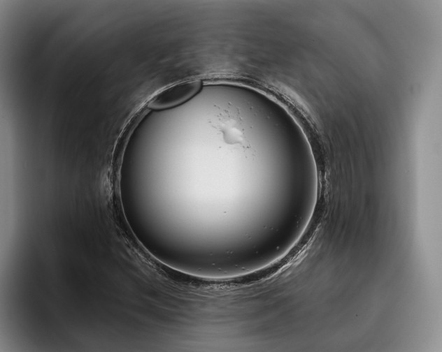 X0000096131212200801181106
