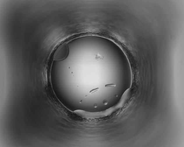 X0000096131214200801181106