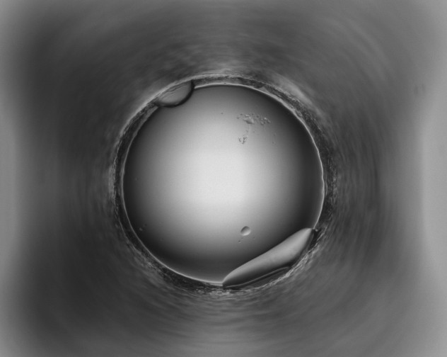 X0000096131216200801181106