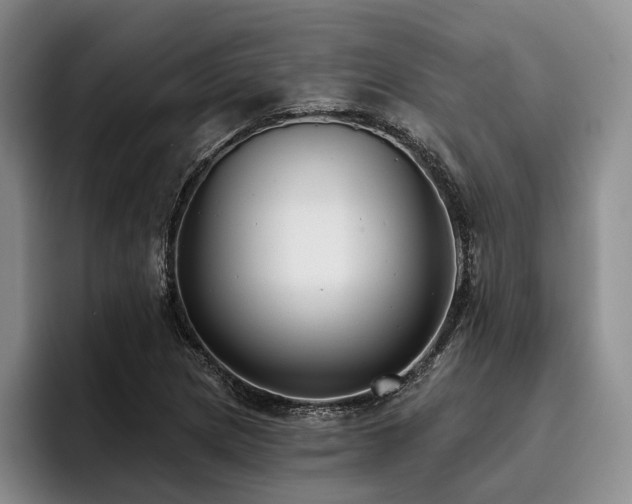 X0000096131217200801181106