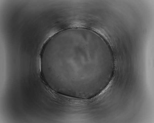 X0000096131219200801181106