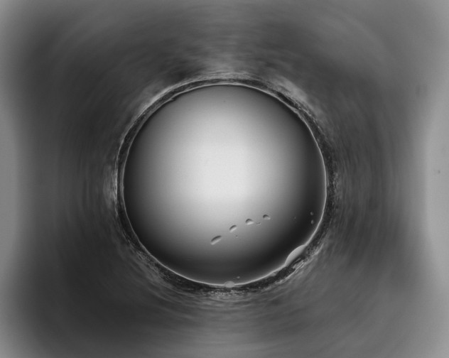 X0000096131220200801181106