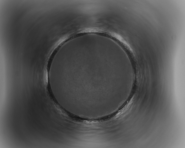 X0000096131221200801181106