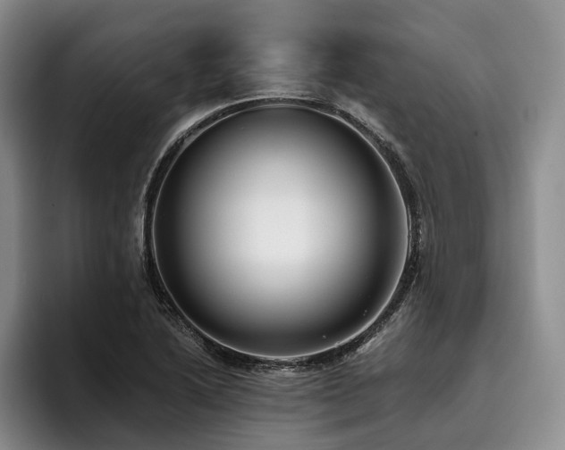 X0000096131222200801181106