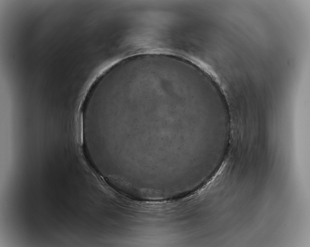 X0000096131223200801181106