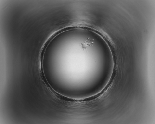 X0000096131224200801181106